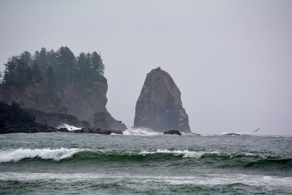 Super 8 By Wyndham Port Angeles At Olympic National Park Motel Exterior photo